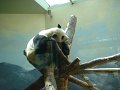 April2008 105